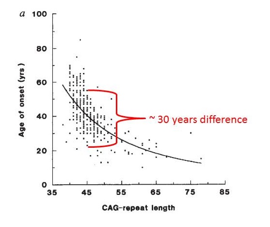 AAO vs CAG